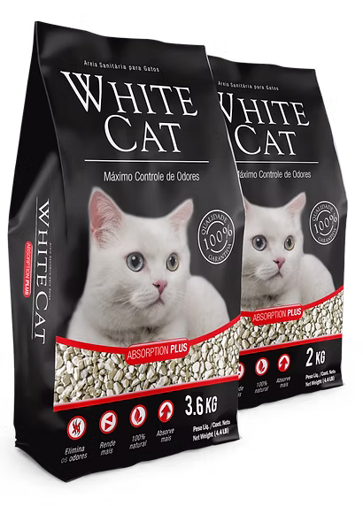 White Cat